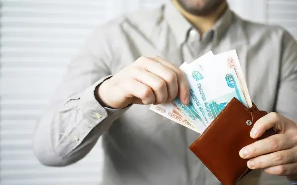 Комитет Госдумы поддержал законопроект о семейной налоговой выплате